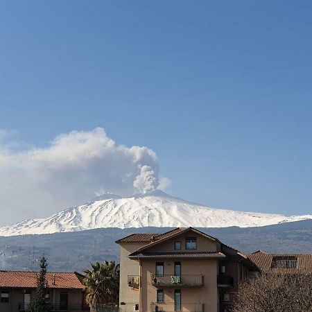 Appartamento Agrumi 林瓜格洛萨 外观 照片